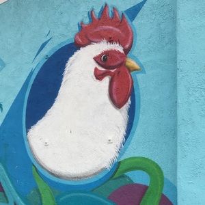 Meet your Posher, Daniela